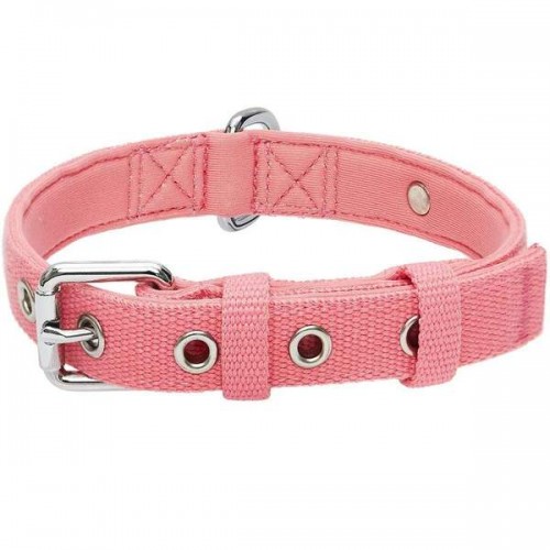 Blueberry Pet New Classic Modern Iconic Neoprene Padded Dog Collar-  Small (Carnation Pink)