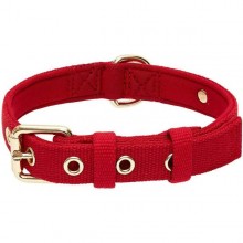 Blueberry Pet New Classic Modern Iconic Neoprene Padded Dog Collar-  Small (Scarlet Red)