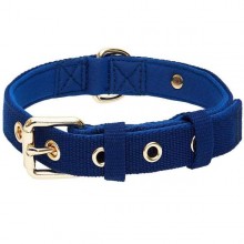 Blueberry Pet New Classic Modern Iconic Neoprene Padded Dog Collar-  Medium (Indigo Blue)