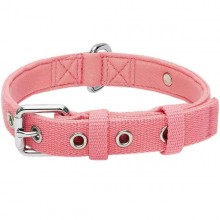 Blueberry Pet New Classic Modern Iconic Neoprene Padded Dog Collar-  Small (Carnation Pink)