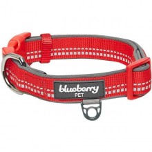 Blueberry Pet 3M Reflective Padded Dog Collar - Medium (Red)