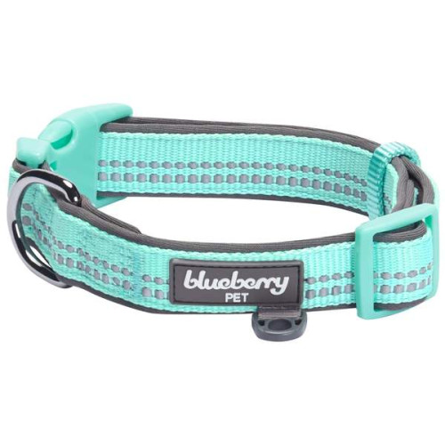 Blueberry Pet 3M Reflective Padded Dog Collar - Small (Mint Blue)