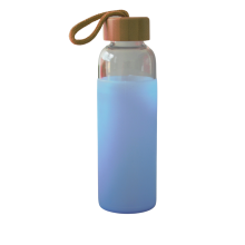 Insulated Glass Water Bottle