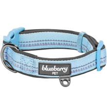 Blueberry Pet 3M Reflective Padded Dog Collar - Medium (Baby Blue)
