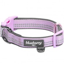 Blueberry Pet 3M Reflective Padded Dog Collar - Small (Lavender)