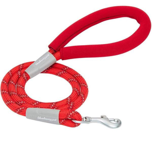 Blueberry Pet Neoprene Handle Rope Leash in Diagonal Stripe, 4 ft - Red
