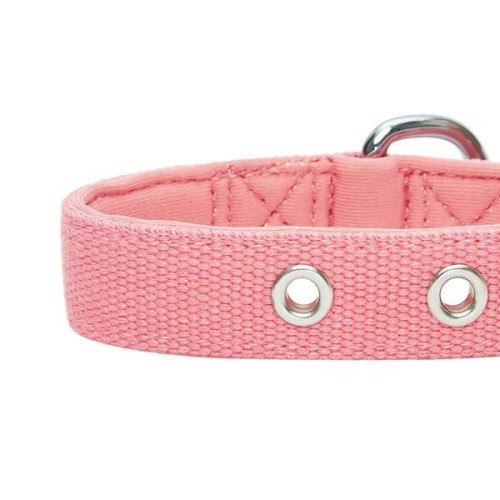 Blueberry Pet New Classic Modern Iconic Neoprene Padded Dog Collar-  Medium (Carnation Pink)