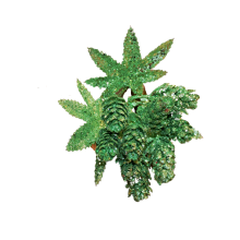 X-Mas Green Glitter Pine Cone Picks