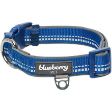 Blueberry Pet 3M Reflective Padded Dog Collar - Medium (Navy)